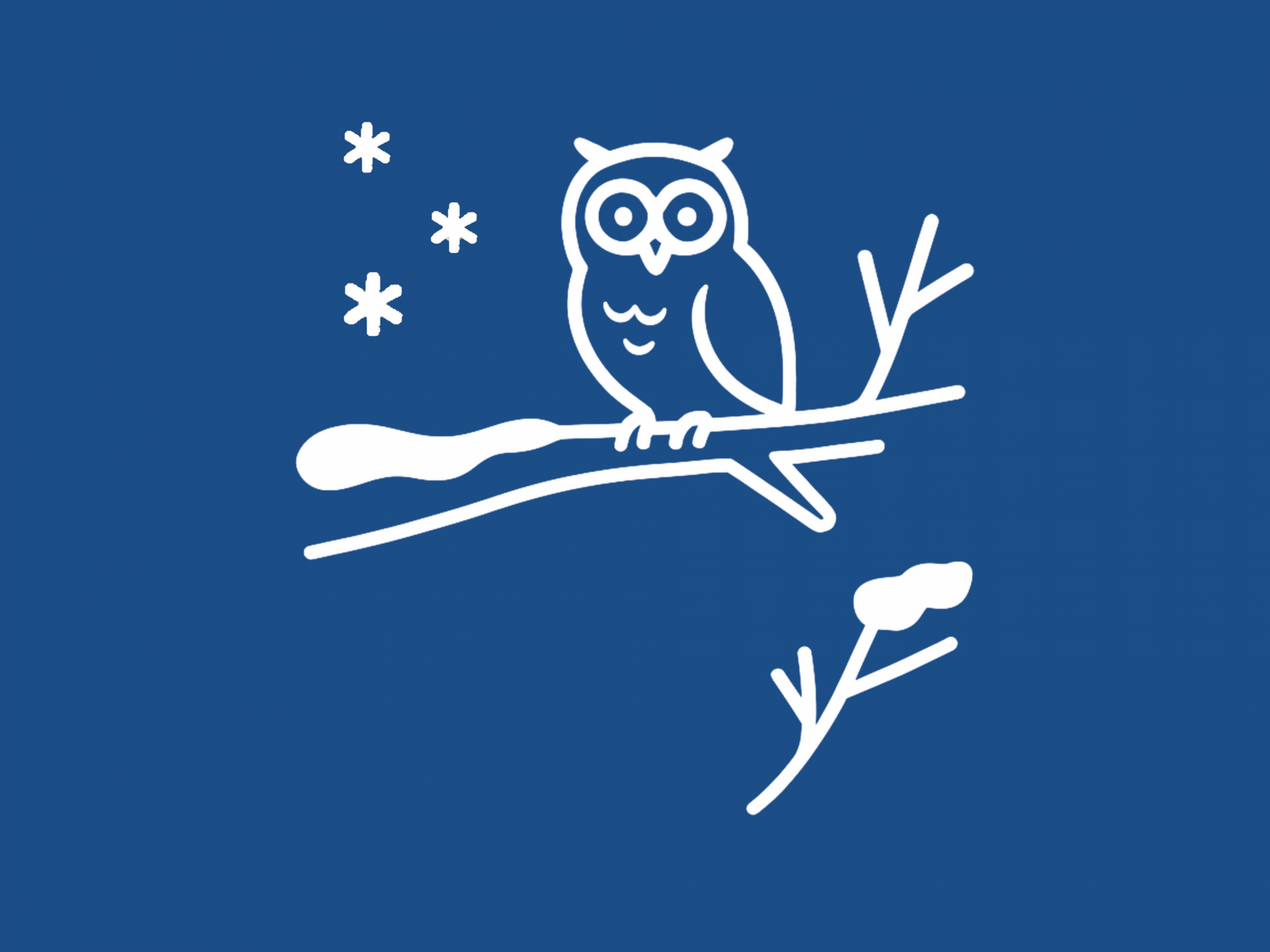 DN hiver randonnée nature meygal mezenc haute loire sucs