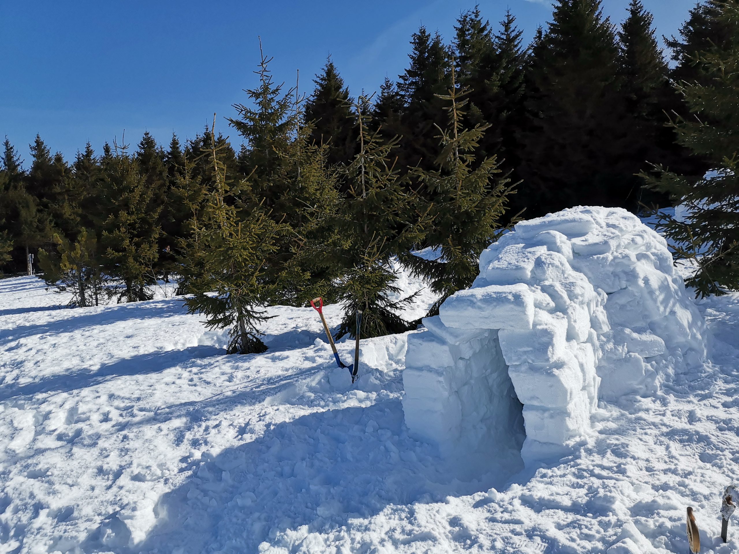 rhdr randonnée nature meygal mezenc haute loire sucs